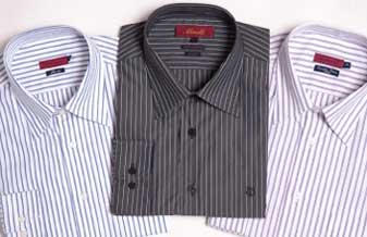 Zenida Mendes de Brito - Foto 1