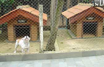 Centro de Controle de Zoonozes-Canil - Foto 1