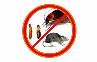 Pest Control Dedetizadora - Foto 1
