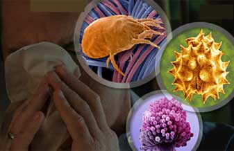 Guilherme Augusto Pulici - Foto 1