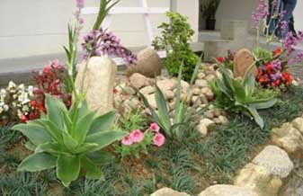 Cores da Natureza - Foto 1