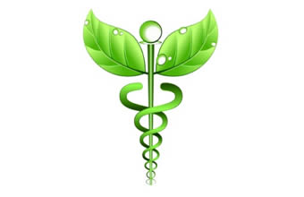 Gilberto Ribeiro Vieira - Foto 1