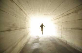 Viva Terapias Naturais - Foto 1