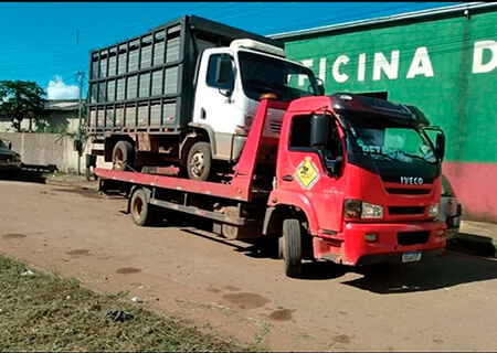 Pezão Guincho - Foto 3