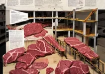 responsabilidade na regularização de construções irregulares