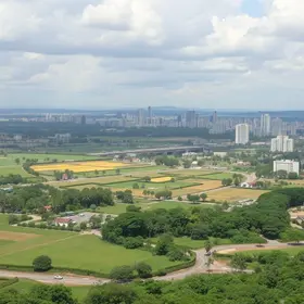 Projeto Aedes do Bem