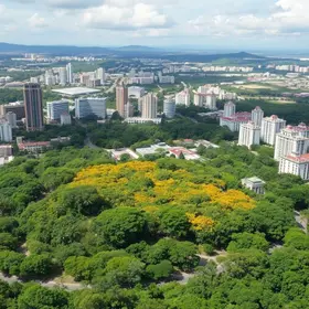 sorteio de uso de espaço público no Horto Florestal