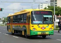 licitação transporte coletivo