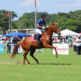 Circuito Municipal de Esportes Equestres