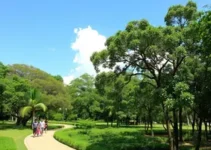 sorteio de espaços públicos no Horto Florestal