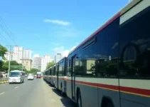 novos ônibus em Rio Branco