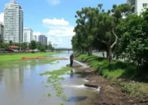 limpeza e desobstrução de córregos