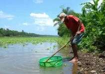 limpeza de igarapé