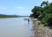 limpeza do igarapé são francisco