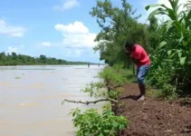 Programa Cuidar Rio Branco