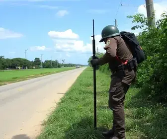 proteção animal e fiscalização ambiental