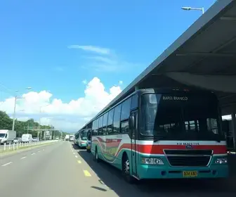 transporte gratuito