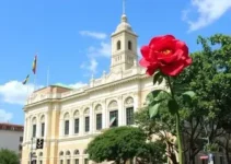 Outubro Rosa