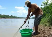 limpeza do Igarapé Fundo