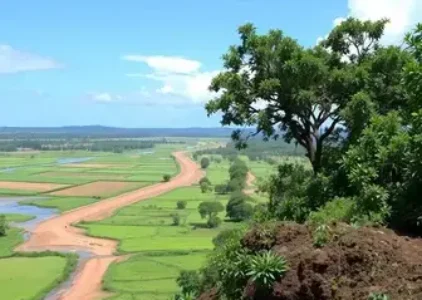 Últimas noticias de Rio Branco